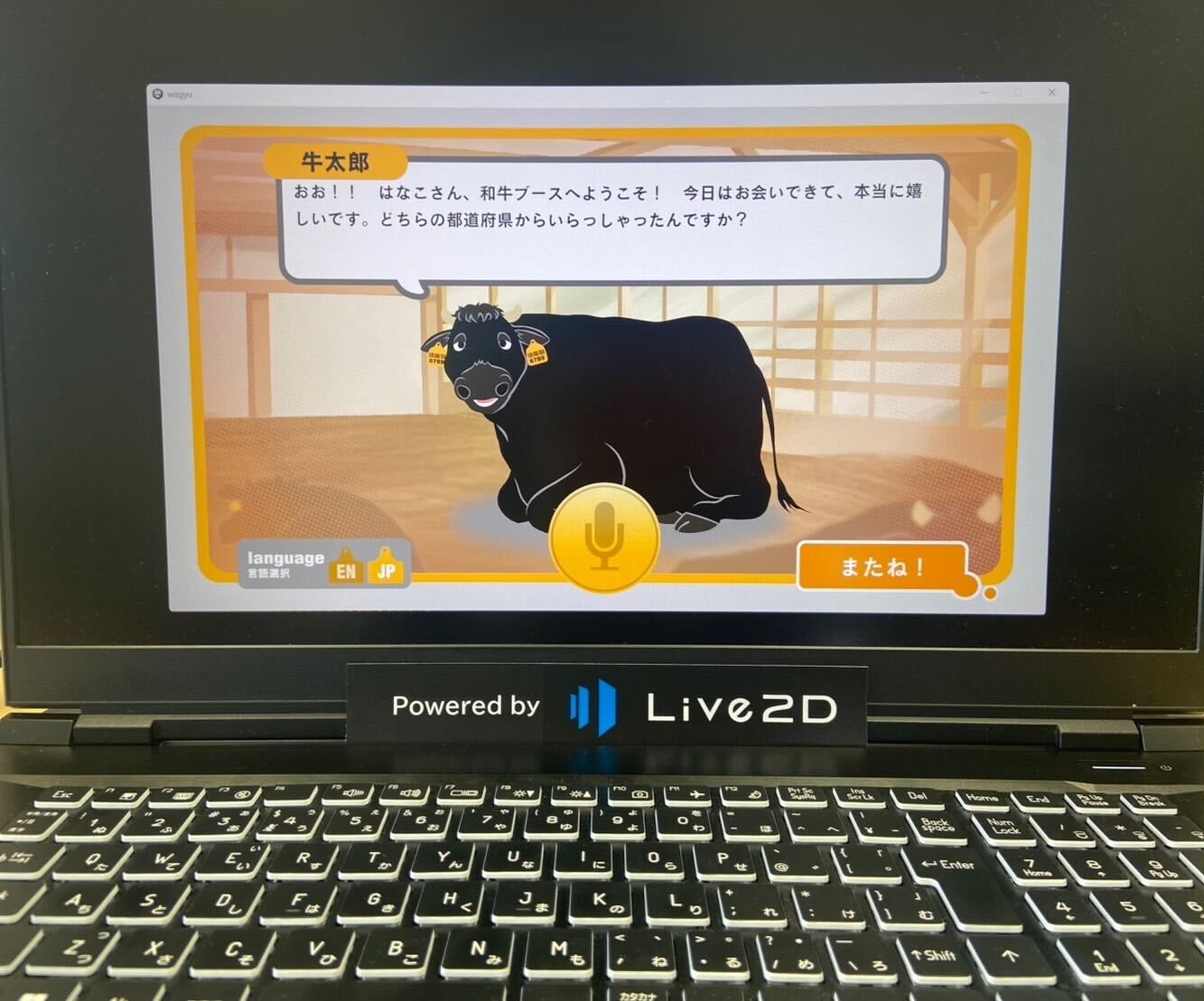 使用シーン