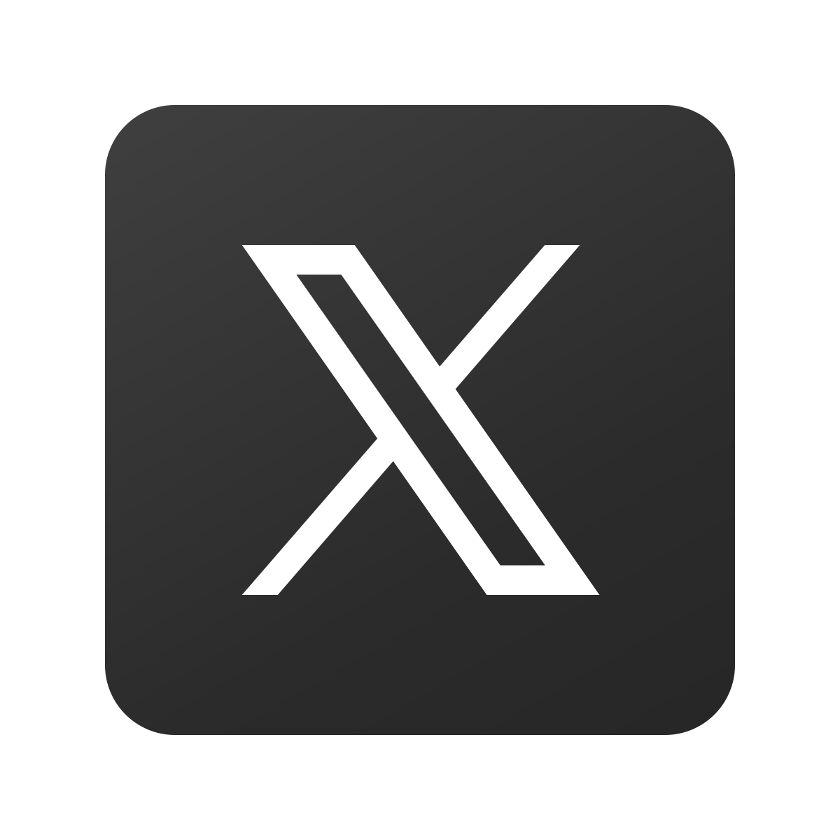公式X